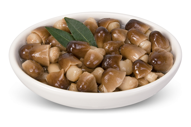 Straw Mushrooms in Sunflower Oil Small Glass Jar - 510g - Vama Brand Made in Italy